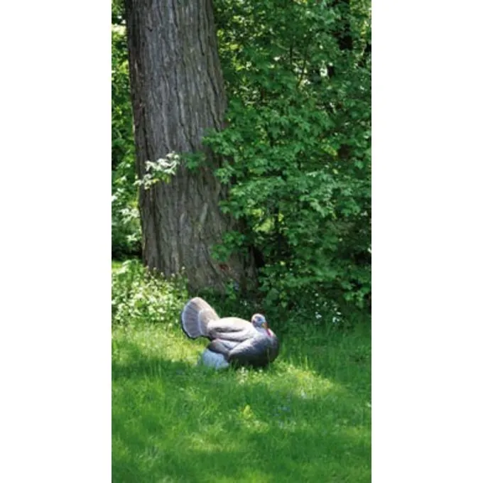 3D Kalkoen 4 3D Kalkoen - Afbeelding 2