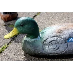 3D Mannetjeseend -Sabels Verkoopwinkel 3d mannetjeseend 2