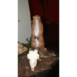 Sabels Verkoopwinkel 12 Sabels Verkoopwinkel -Sabels Verkoopwinkel 3d staande marmot 1