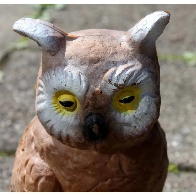 3D Uil 5 3D Uil - Afbeelding 3