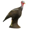 FB 3D Staande Kalkoenhen