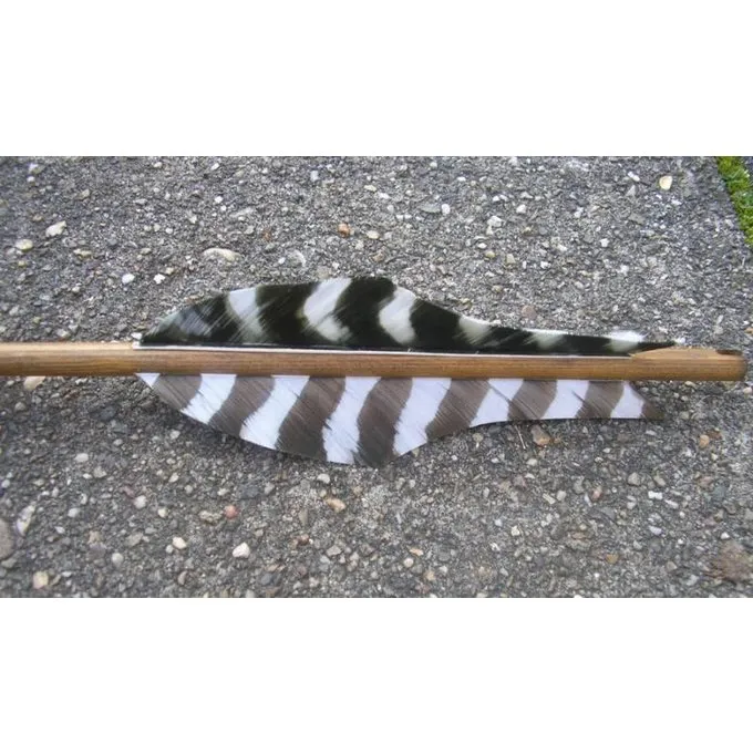 Germaanse Pijl 5 Germaanse Pijl - Afbeelding 3