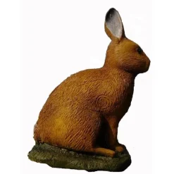 IBB 3D Europese Haas