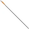 Koolstof Pijl 30" (76 Cm) -Sabels Verkoopwinkel koolstof pijl 30 76 cm